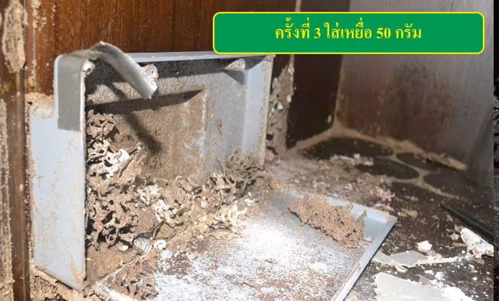 ผลงานกำจัดปลวก ปราจีนบุรี 2