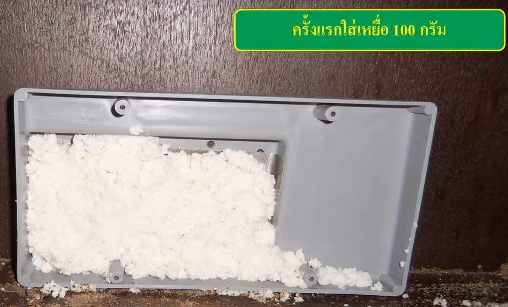 ผลงานกำจัดปลวก ปราจีนบุรี 3
