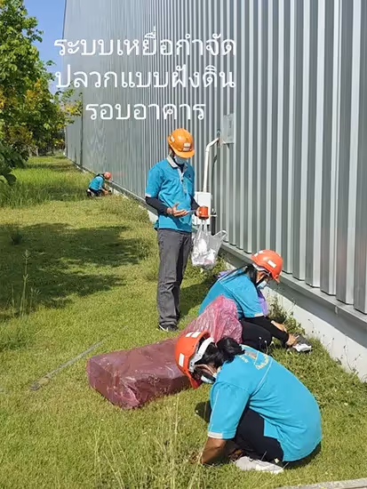 ผลงานกำจัดปลวก ปราจีนบุรี 15