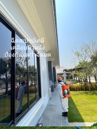 ผลงานกำจัดปลวก ปราจีนบุรี 31
