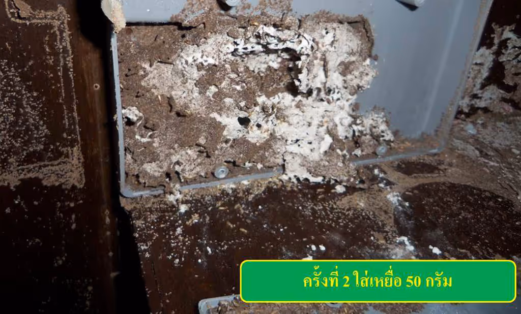 ผลงานกำจัดปลวก ปราจีนบุรี 36